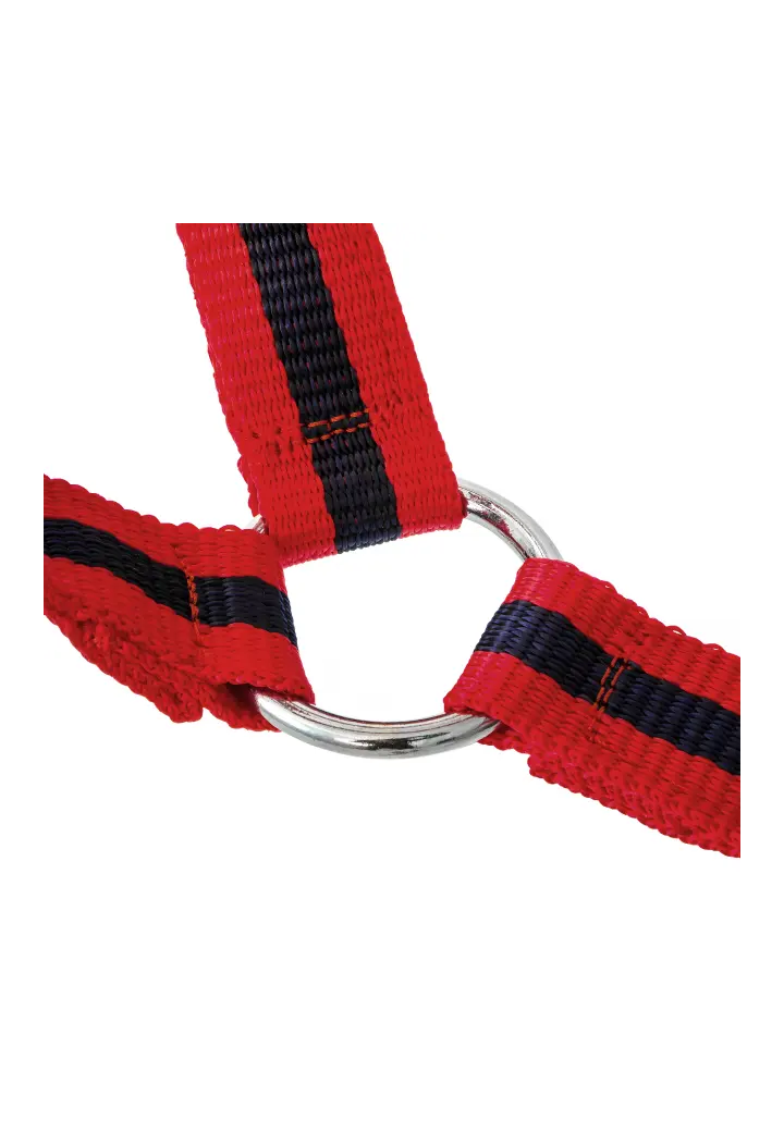 Headcollar START Economic