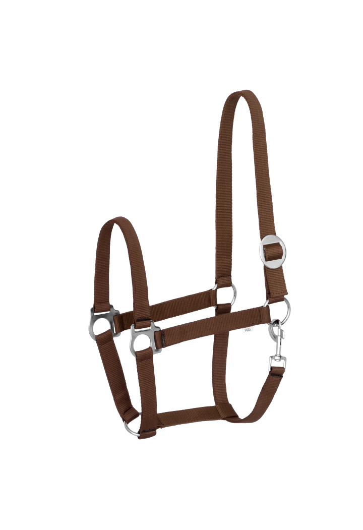 20820001
