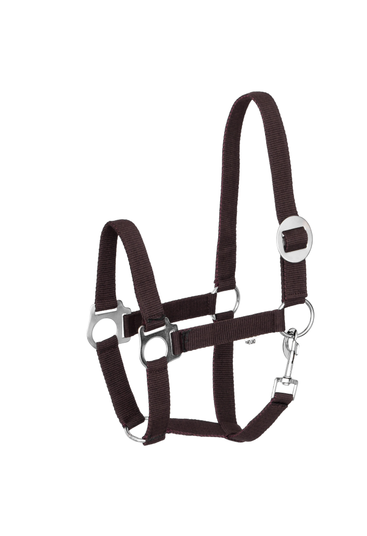 Headcollar START Economic