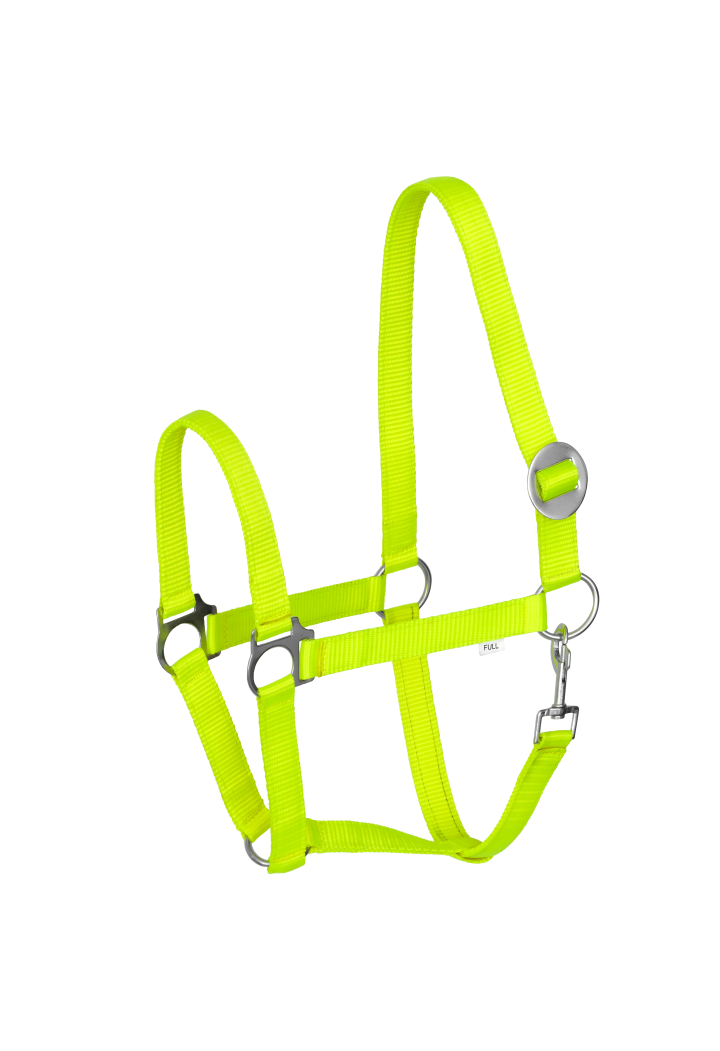 Headcollar START Economic