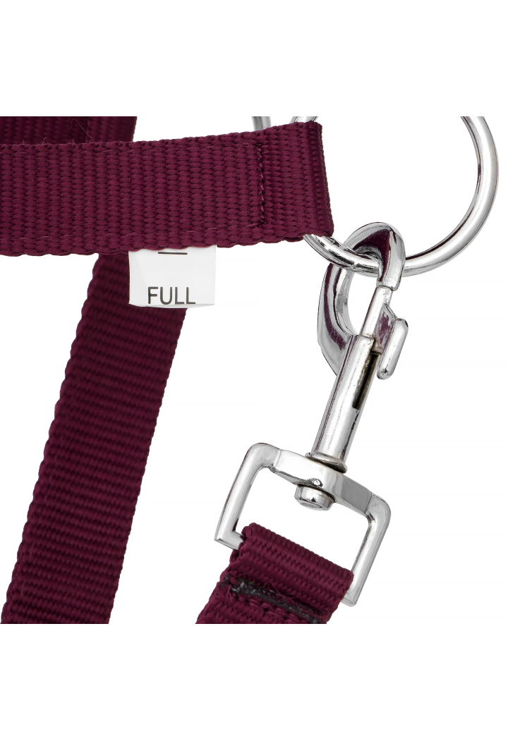 Headcollar START Economic