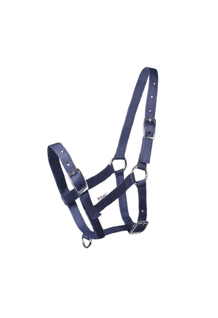 Cavezza START per foal