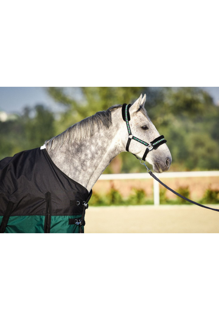 Coperta da paddock START 2-tone foderata 0g 600D