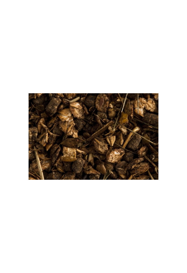 Alimentazione ST.HIPPOLYT FohlenGold 20kg musli