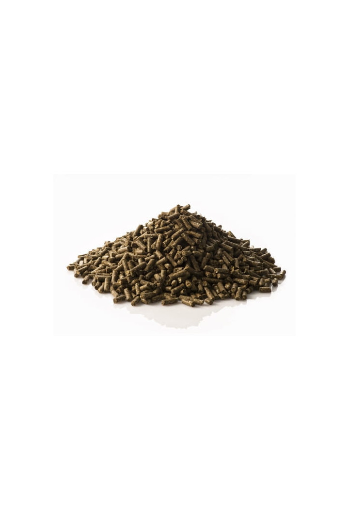 Pasza ST.HIPPOLYT Brandon XL 25kg granulat