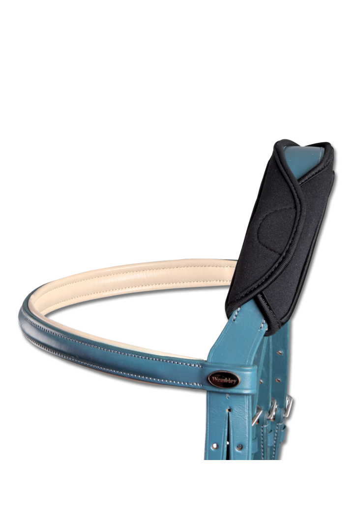 1177101