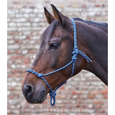 Headcollar WALDHAUSEN string