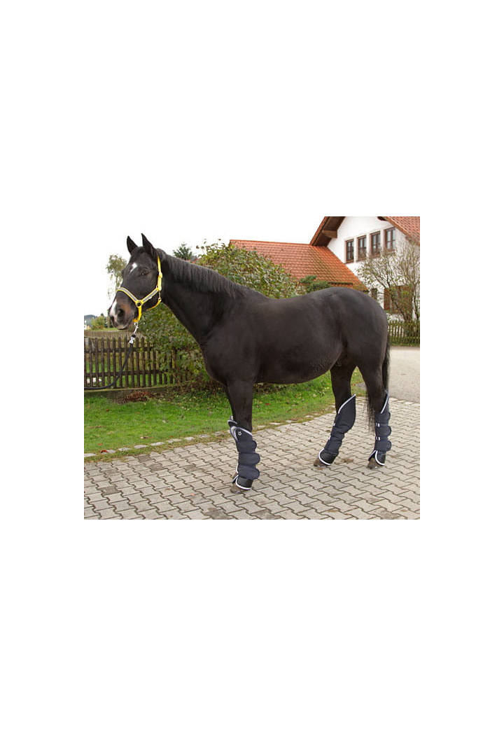 Transportschutz KERBL Dexter