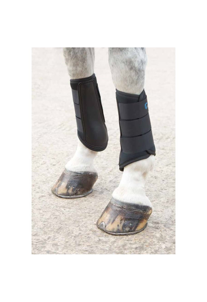 SHIRES Brushing Neoprenprotektor