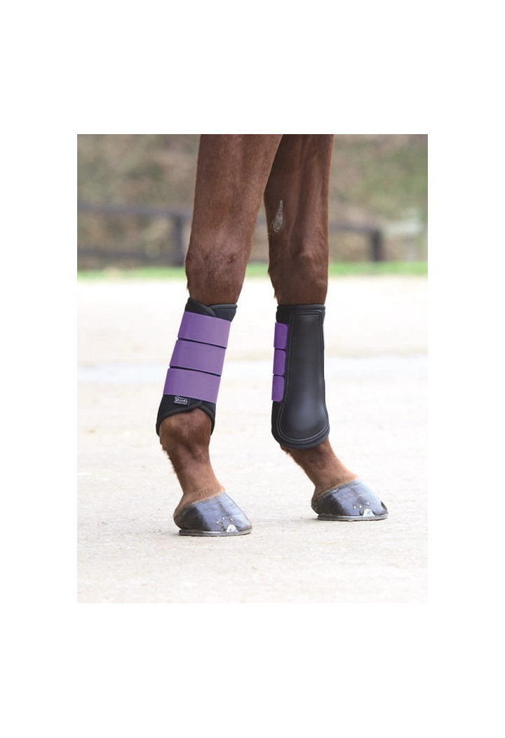 SHIRES Brushing Neoprenprotektor