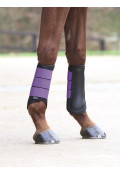 purpurowy