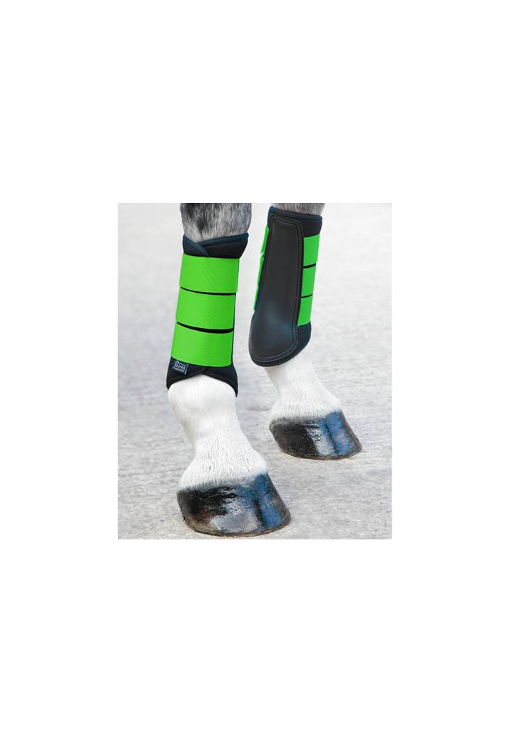 SHIRES Brushing Neoprenprotektor