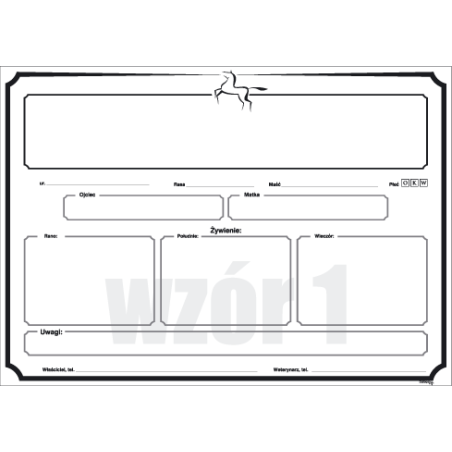 DO STAJNI Model 01 on Box
