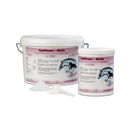EQUIPOWER Biotin 2kg