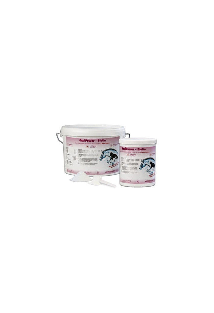Biotyna EQUIPOWER Biotin 750g