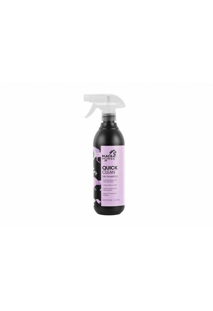 Dry shampoo BLACK HORSE Quick Clean 500ml
