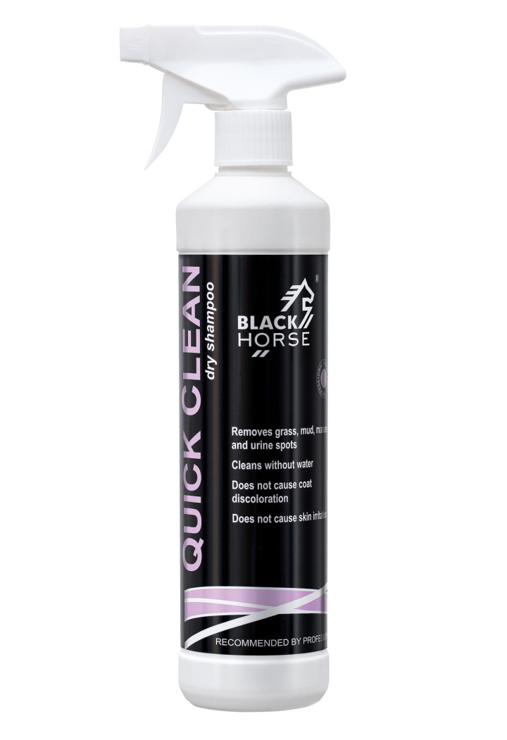 Shampoo secco BLACK HORSE Pulire rapidamente 500ml