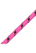 Neonrosen