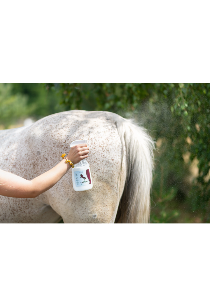 Balsam pentru spray OH ChevaSilk 650ml