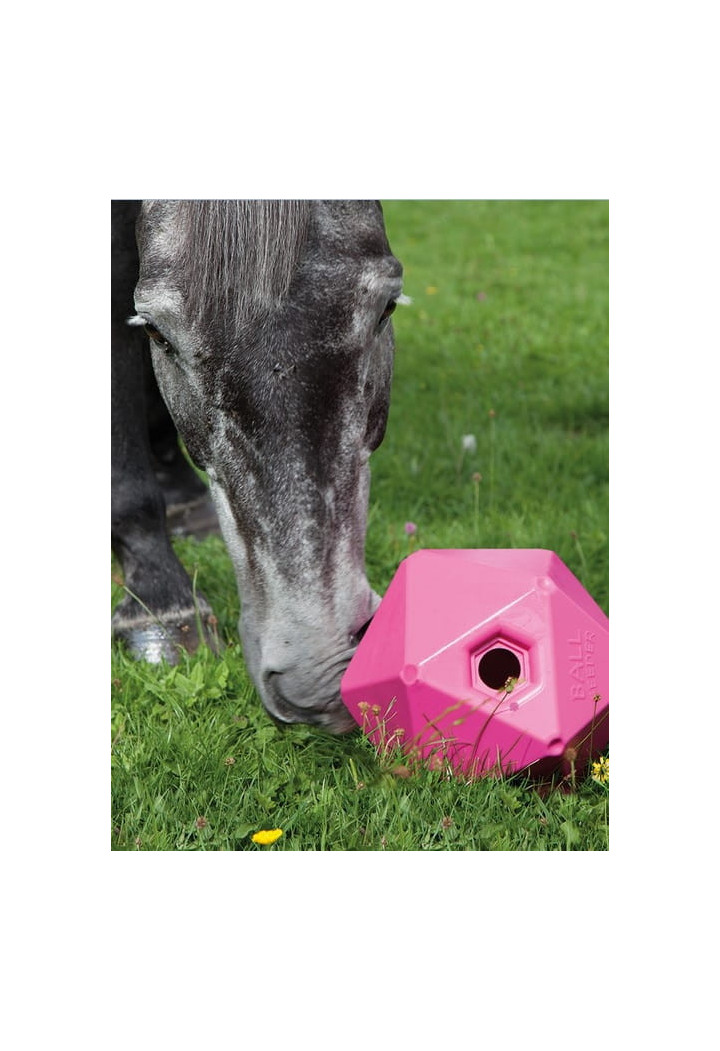 SHIRES BallFeeder horse toy for flavors