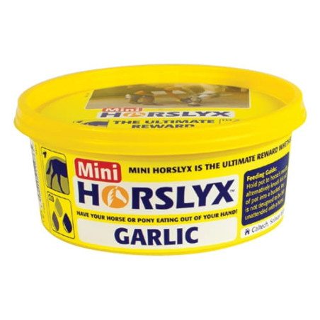 Lick HORSLYX vitamin Garlic 650g