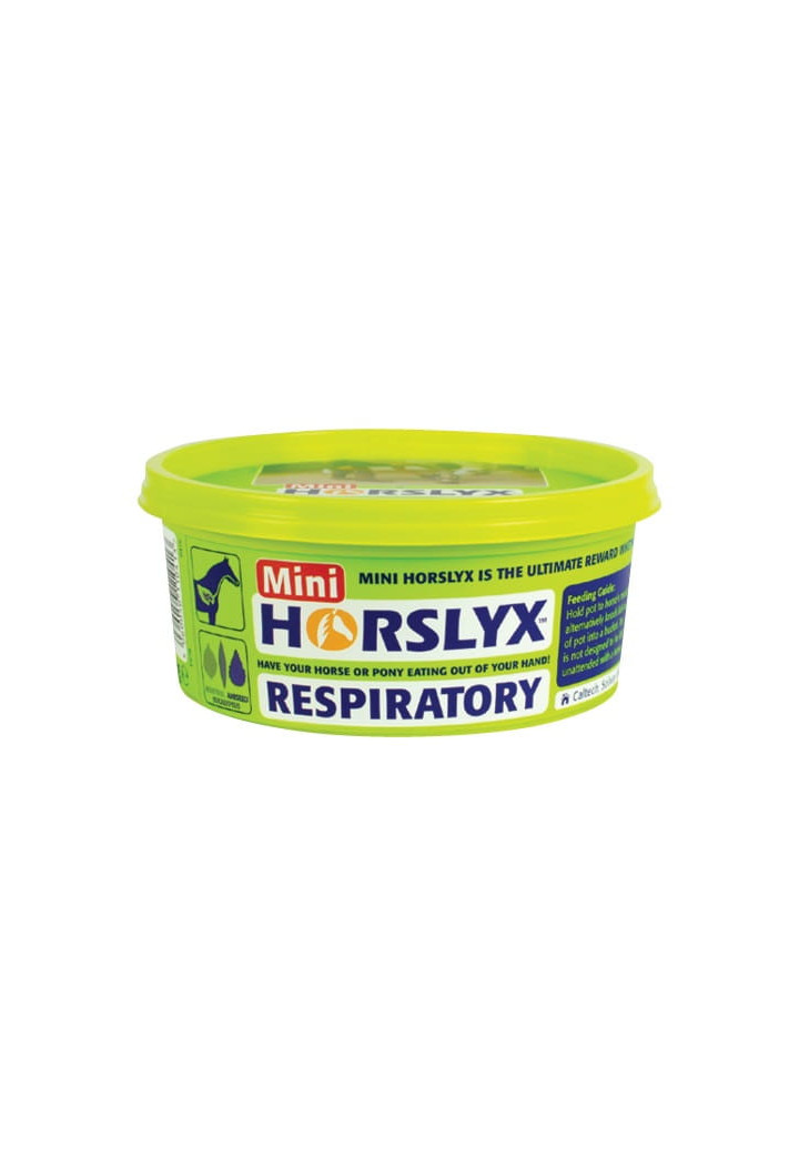 Lick HORSLYX vitamin Respiratory 650g