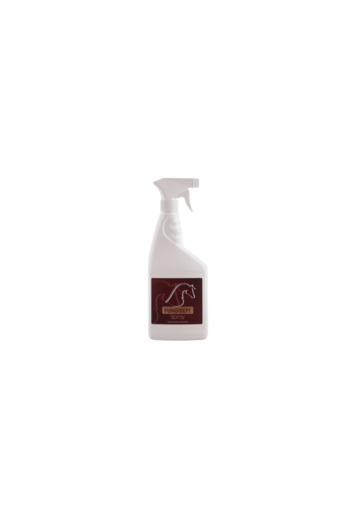Pregătirea pentru infecţii fungice OH Fungisept Spray 500ml