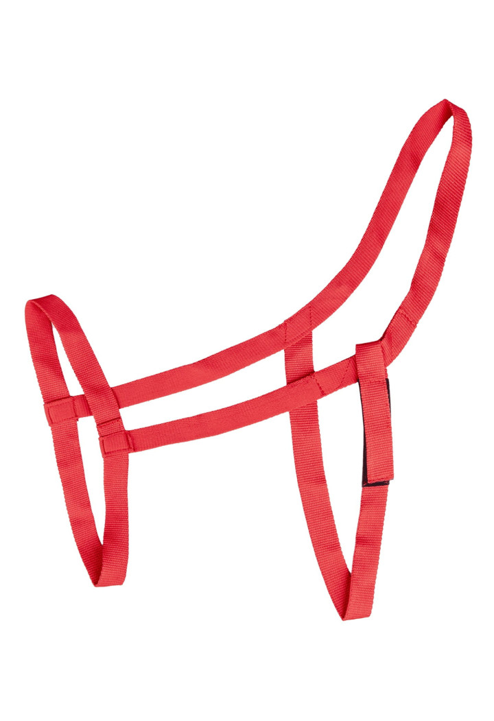 Kantar WALDHAUSEN Grazing
