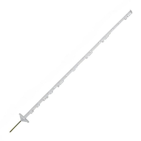 CORRAL Titan 157cm 441801 dvojitá noha