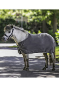 Gri