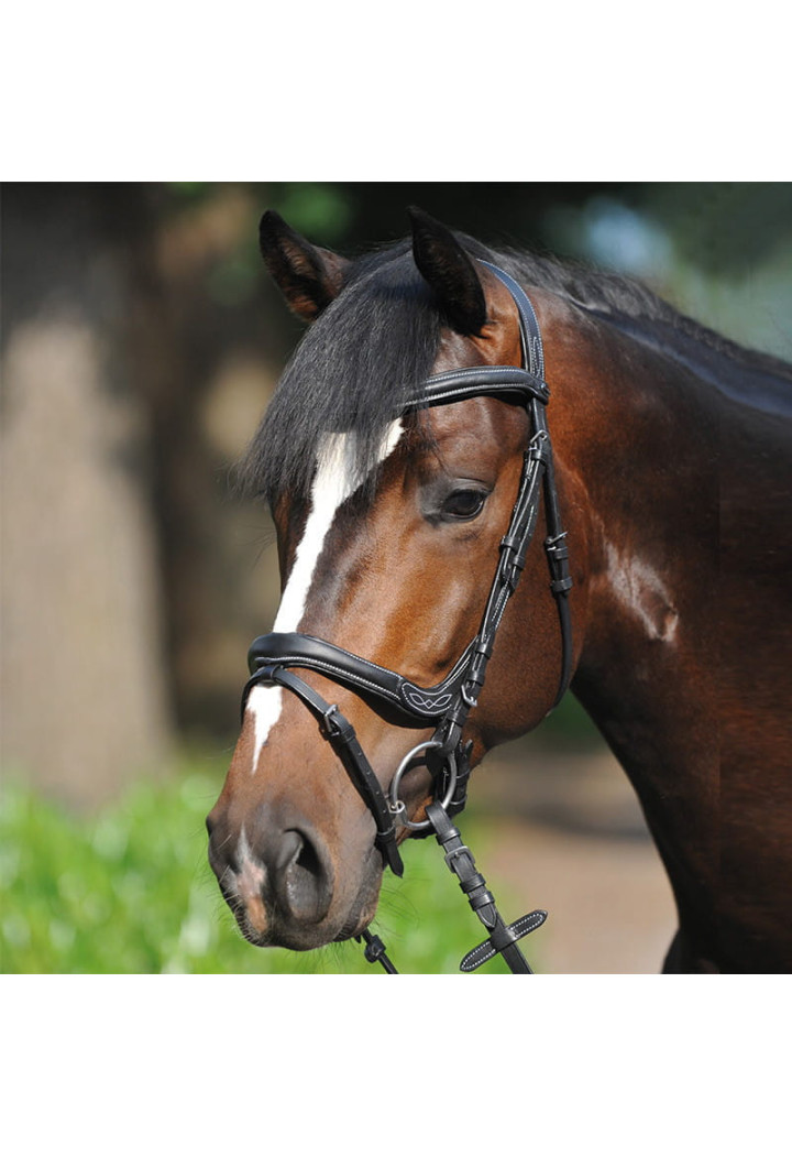 Bridle KAVALKADE Ivy