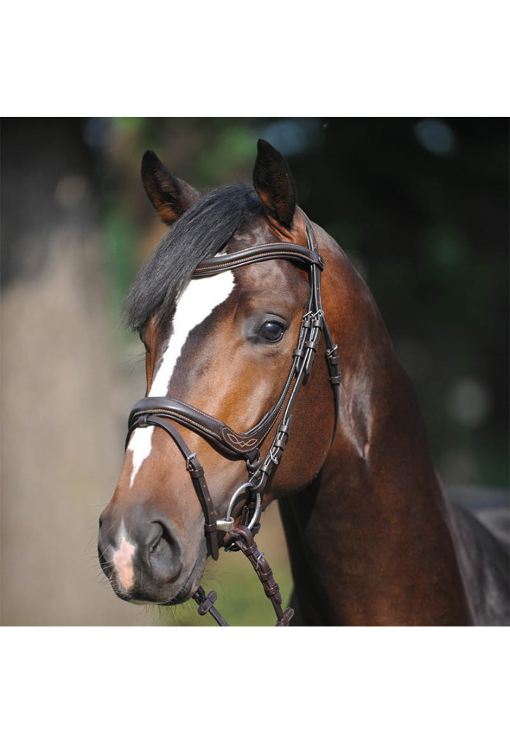 Bridle KAVALKADE Ivy