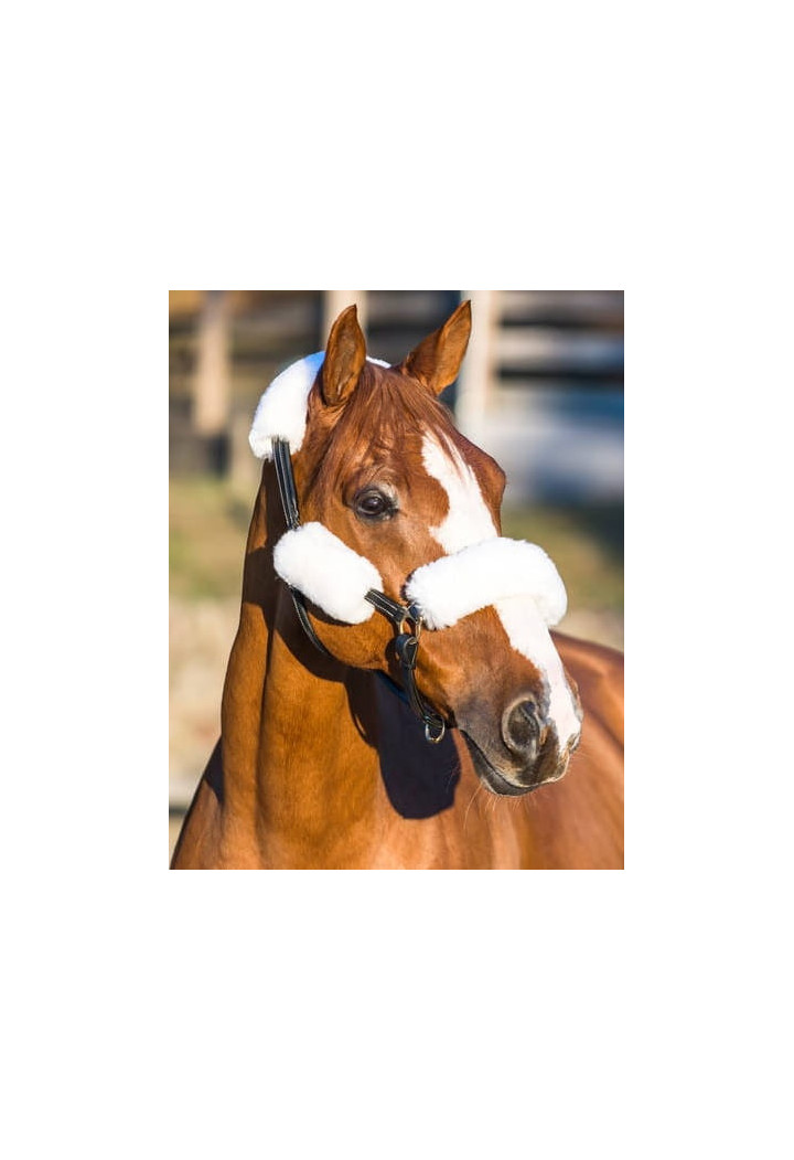 Fur on headcollar HORZE set 4 pcs