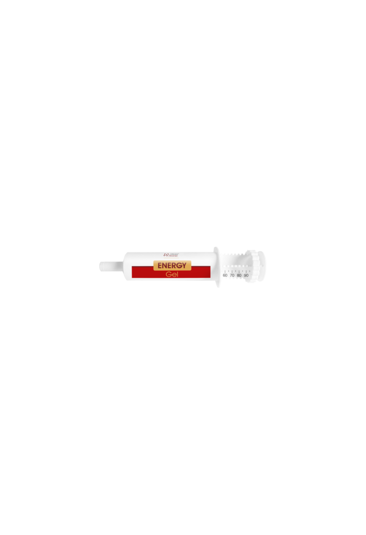 Mieszanka paszowa OH Energy Gel 100ml
