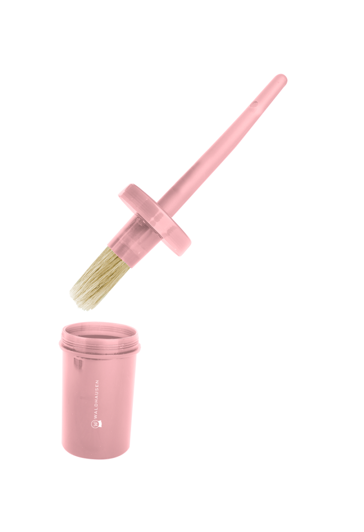 Pennello WALDHAUSEN con contenitore