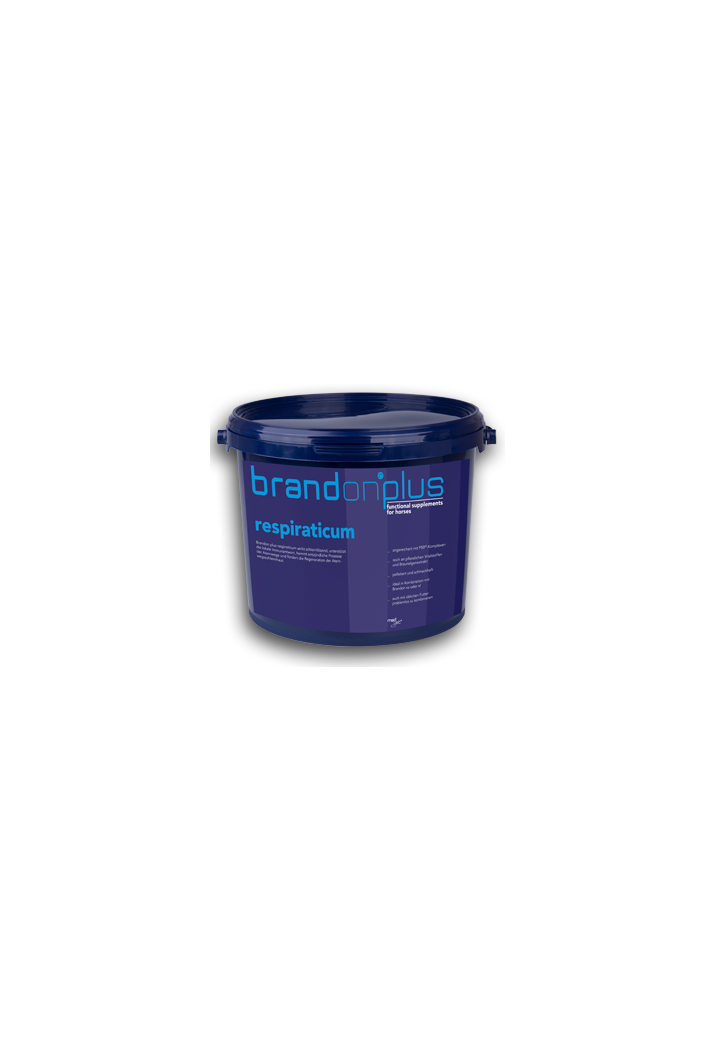Ergänzung ST.HIPPOLYT Respiraticum 3kg Granulat