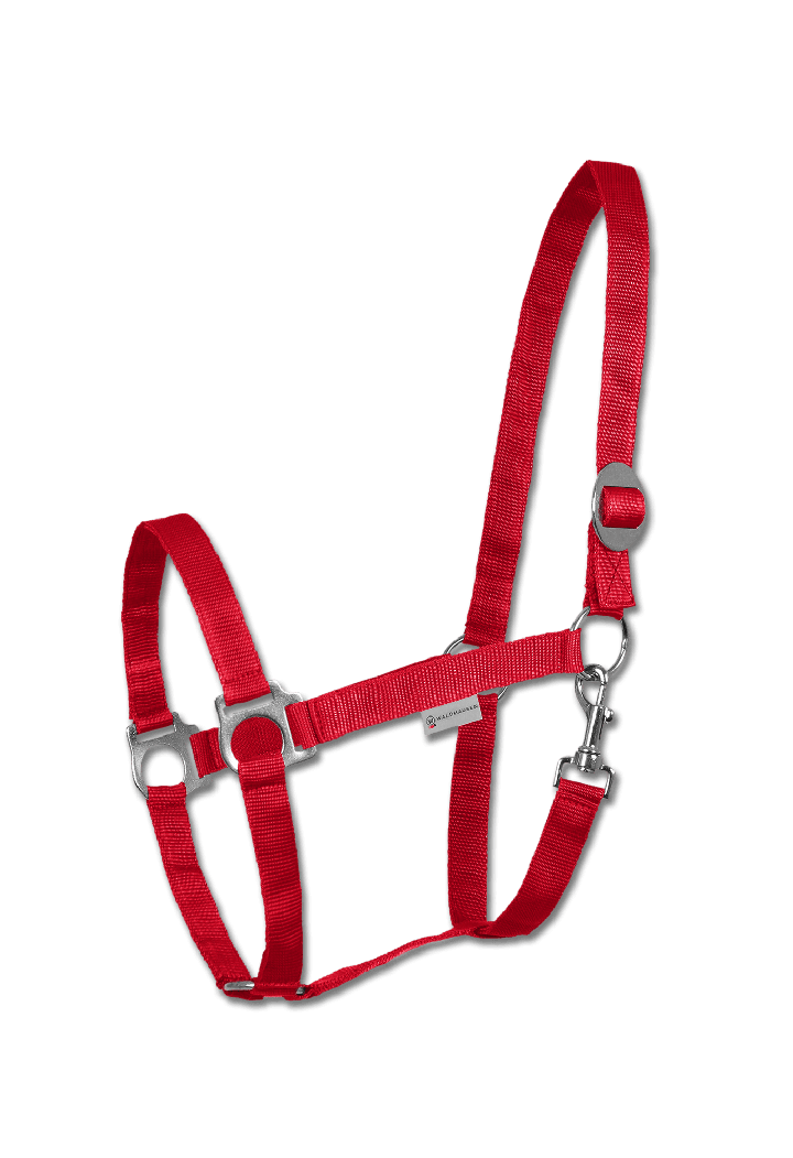 Headcollar WALDHAUSEN Perlon