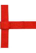 Rot