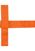 Oranžová