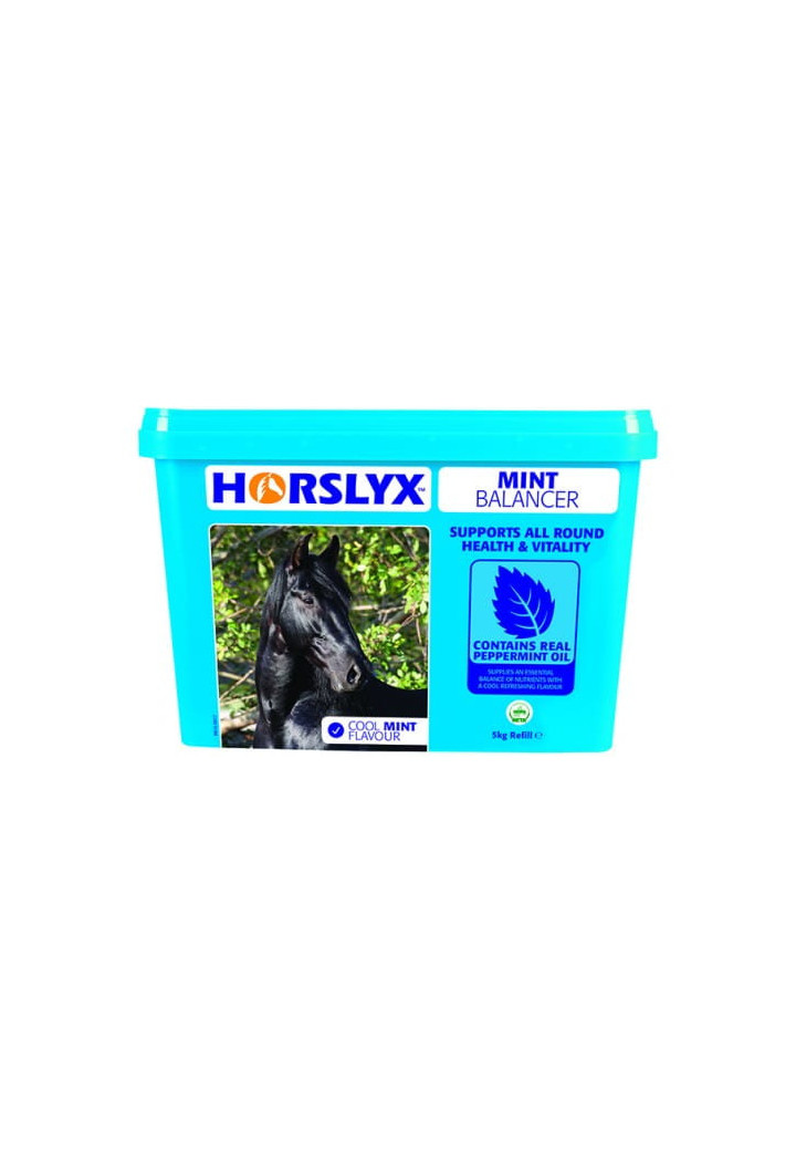 Bloc de lins HORSLYX vitamina Mint 5kg