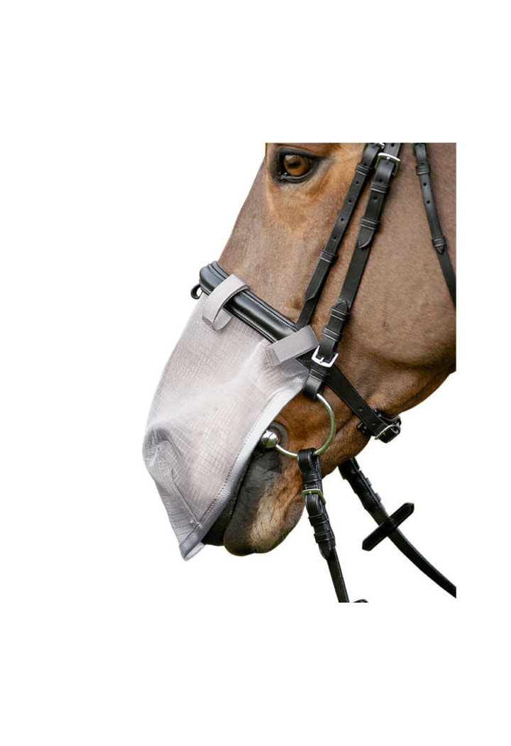 Fly mask on the nose WALDHAUSEN