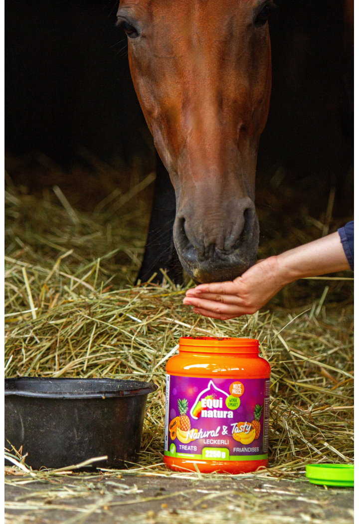Un tratament pentru cai EQUINATURA 2250g