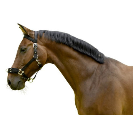 Lunge cavesson KERBL Plastic