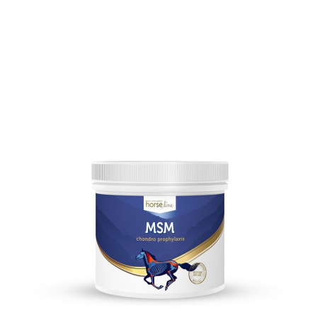 HORSE LINE MSM 500g supliment comun