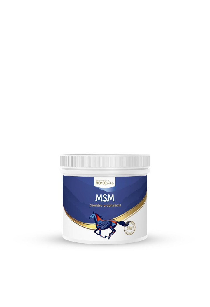 HORSE LINE MSM 500g supliment comun