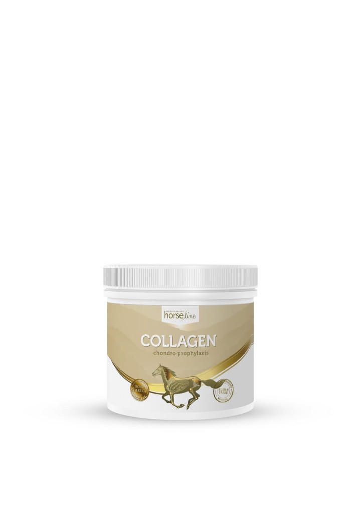 HORSE LINE Collagen 300g joint supplement