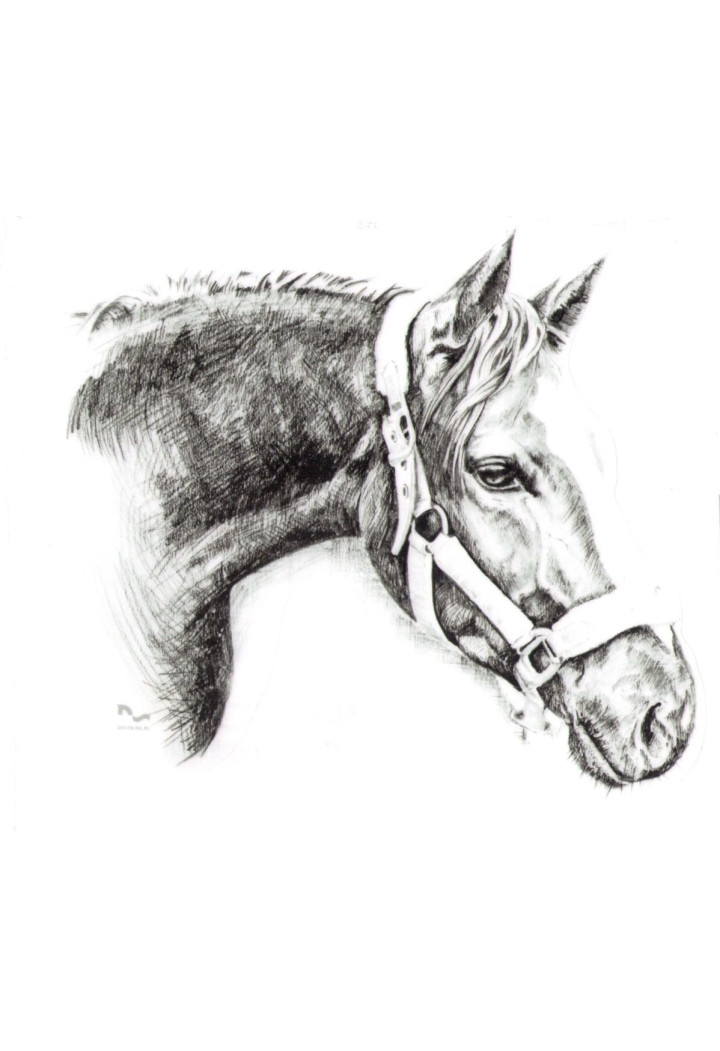 DO STAJNI autoadesivo disegno 3 nero