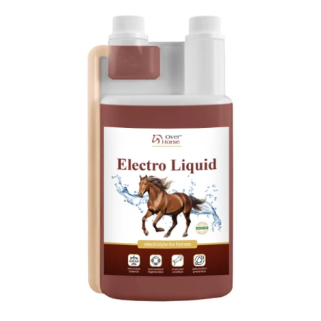 Elektrolyte OH Elektroflüssigkeit 1000ml