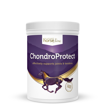 HORSE LINE ChondroProtect 900g