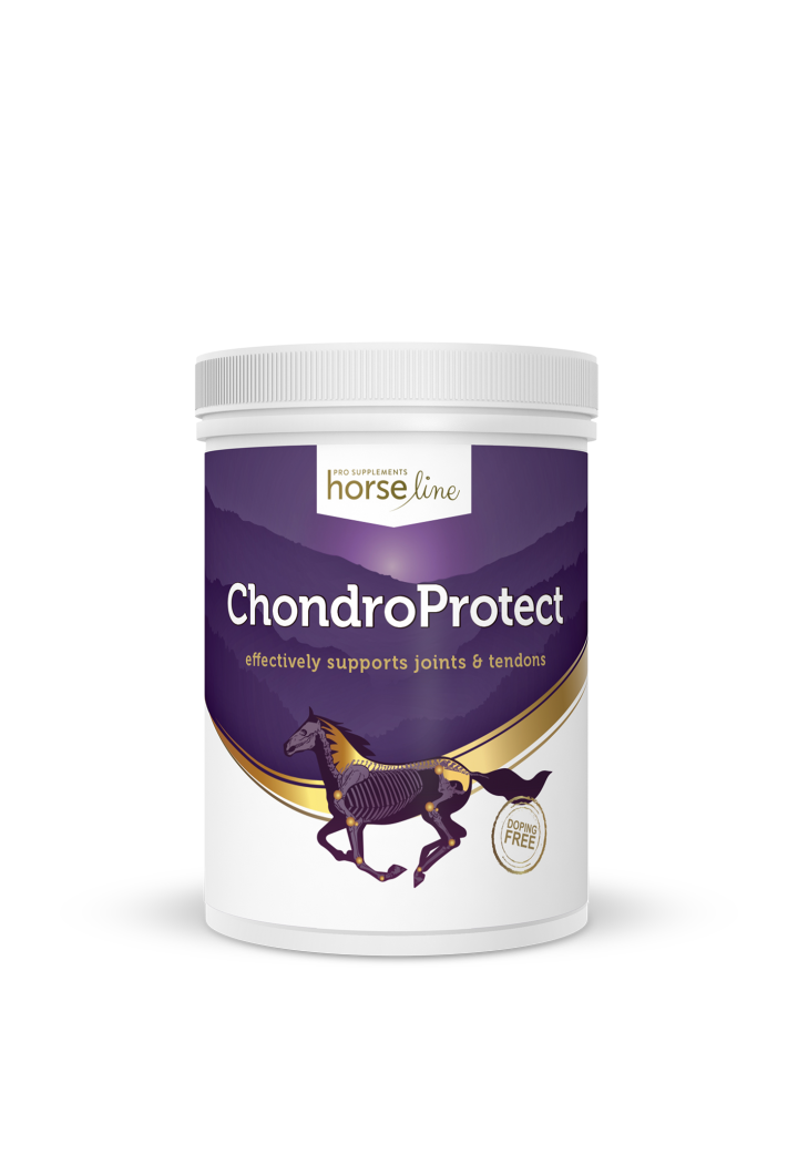 HORSE LINE ChondroProtect 900g